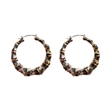Load image into Gallery viewer, Leopard Print Temperament Simple Big Earrings Personality Versatile