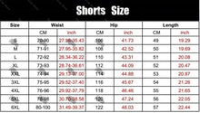 Load image into Gallery viewer, New Aprilia Motocross Logo Shorts Harajuku Fashion Casual Pants Outer