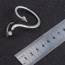 Load image into Gallery viewer, New Fashion Punk Style Twining Snake Shape Earrings Stud Cuff Earrings