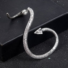Load image into Gallery viewer, New Fashion Punk Style Twining Snake Shape Earrings Stud Cuff Earrings