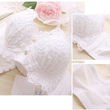 Load image into Gallery viewer, Sexy Underwear Set Push Up Bra Set For Women Underwear Lace Embroidery