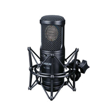 Load image into Gallery viewer, Takstar GL 400 professional studio wired condenser Microphone for