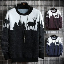 Load image into Gallery viewer, Men's Crew Neck Sweater