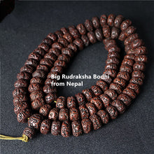Load image into Gallery viewer, Tibetan Buddhist Mala 108 Big Oiled Rudraksha Bodhi Beads Mala 16 18mm