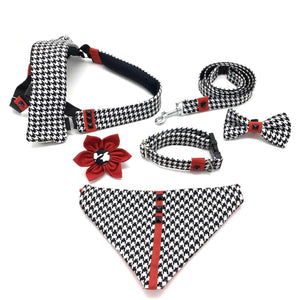 Xolotl pied de poule dog leash