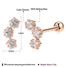 Load image into Gallery viewer, ZEMIOR Trendy 3 Colors Anti Allergy Earring 925 Sterling Silver Shiny