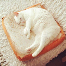 Load image into Gallery viewer, Toast Cat Pad