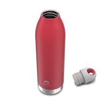 Load image into Gallery viewer, Bevu® Insulated Bottle Magenta