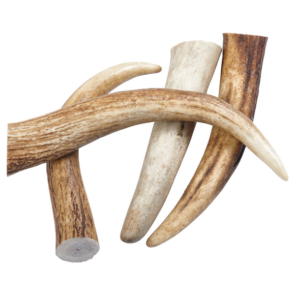 “Tips” Grade A Whole Elk Antler Dog Chews - 4 Pack!