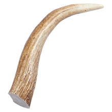 Load image into Gallery viewer, “Tips” Grade A Whole Elk Antler Dog Chews - 4 Pack!