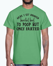 Load image into Gallery viewer, here i sit broken hearted had to poop but only farted- Bathroom -