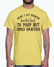 Load image into Gallery viewer, here i sit broken hearted had to poop but only farted- Bathroom -
