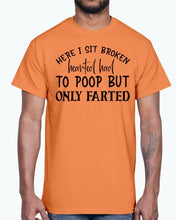 Load image into Gallery viewer, here i sit broken hearted had to poop but only farted- Bathroom -